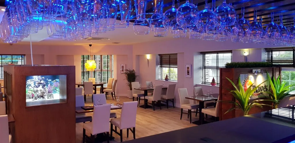 Thai Restaurant Naasville Thaiger: A Culinary Gem in Naas, County Kildare